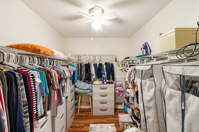 spacious closet featuring dark wood finished floors and a ceiling fan