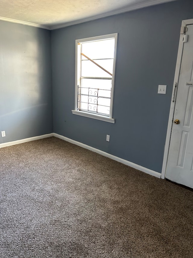 empty room featuring carpet flooring, crown molding, and a textured ceiling