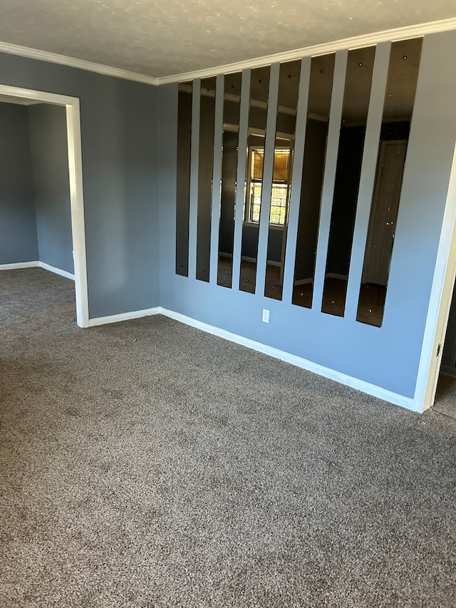 spare room with carpet floors and crown molding