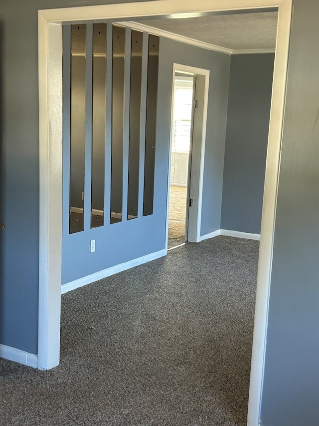 empty room with carpet flooring and ornamental molding