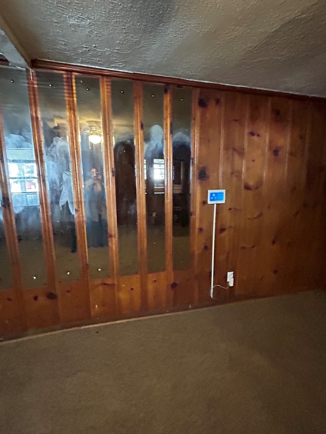 interior details with carpet flooring, wood walls, and a textured ceiling