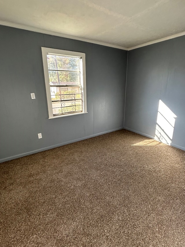 spare room featuring carpet flooring and crown molding