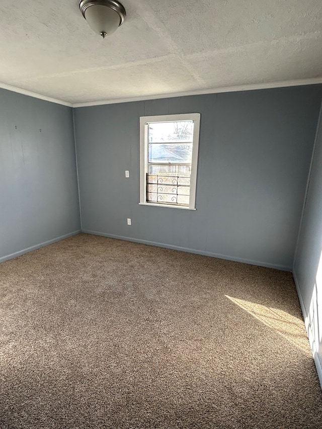 spare room with carpet floors and a textured ceiling