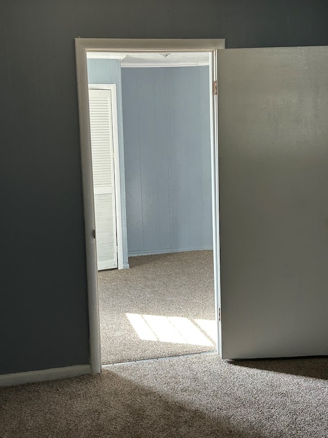 unfurnished room featuring carpet