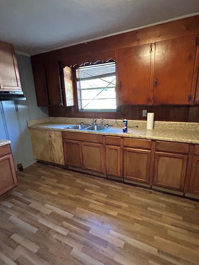 kitchen with wood-type flooring and sink