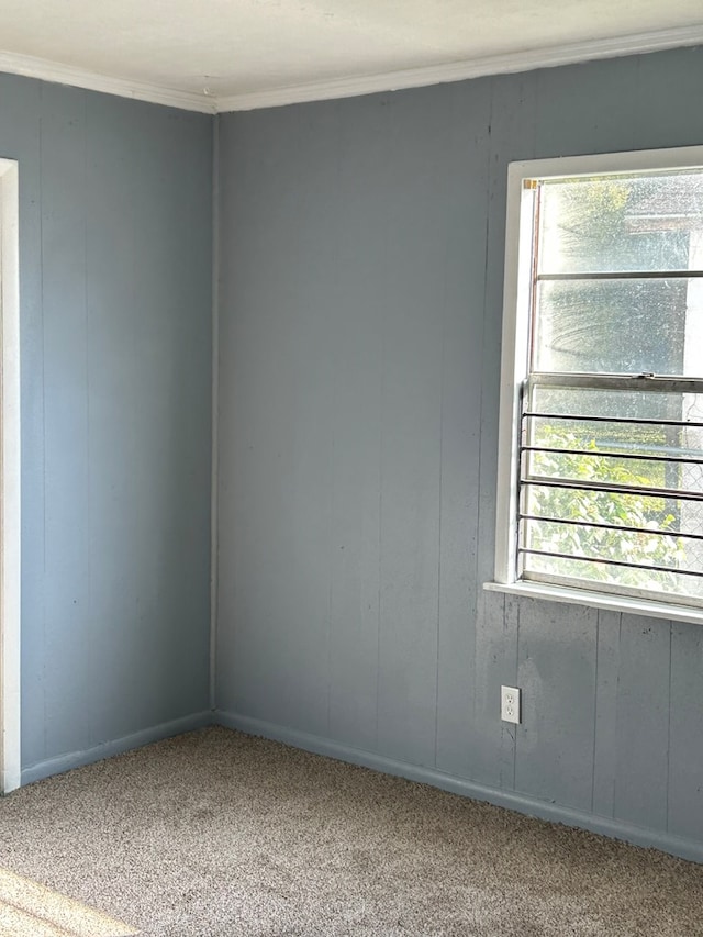 carpeted empty room featuring a wealth of natural light and ornamental molding