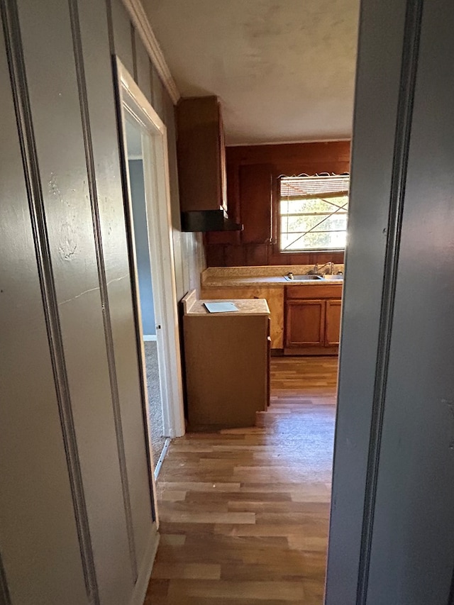 kitchen featuring light hardwood / wood-style floors