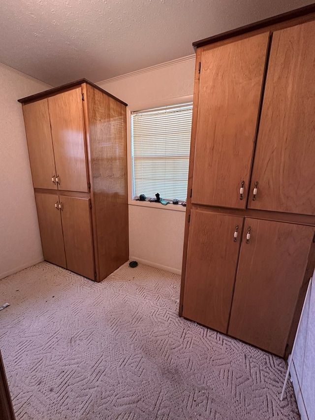 unfurnished bedroom featuring light colored carpet and a textured ceiling