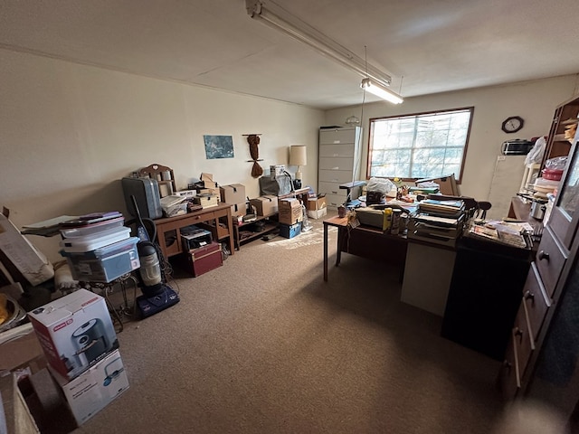 office space featuring carpet flooring