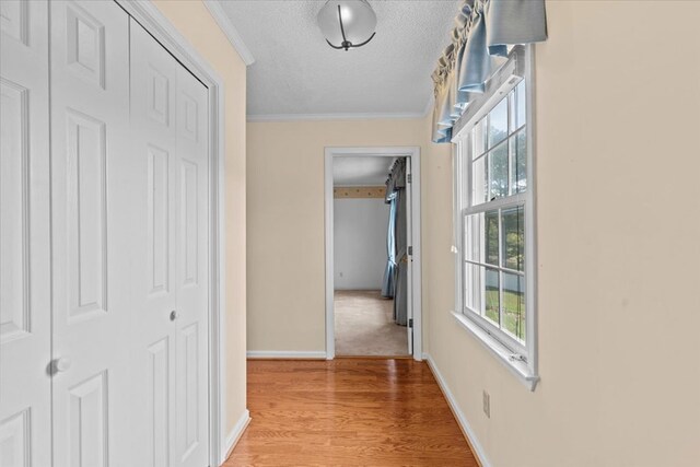 105 Christen Ln, Dothan, AL 36305 - corridor featuring crown molding, a textured ceiling, baseboards, and light wood-type flooring