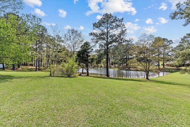 105 Christen Ln, Dothan, AL 36305 - view of yard featuring a water view