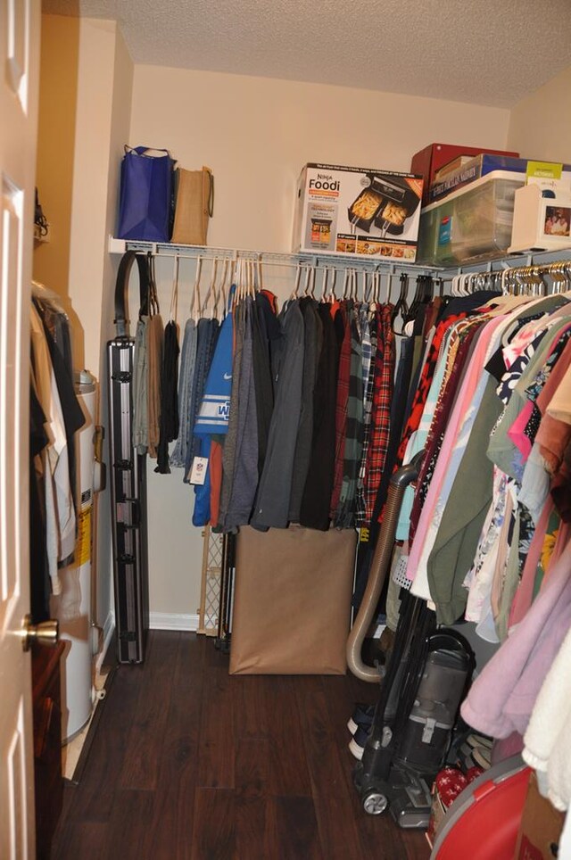 spacious closet featuring dark wood-type flooring