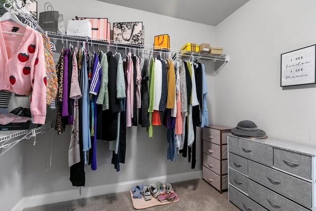 114 Bozeman Way, Dothan, AL 36305 - walk in closet with carpet