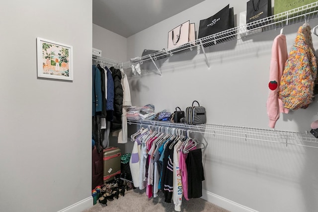 114 Bozeman Way, Dothan, AL 36305 - walk in closet with carpet floors