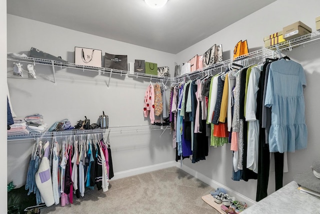 114 Bozeman Way, Dothan, AL 36305 - spacious closet featuring carpet floors