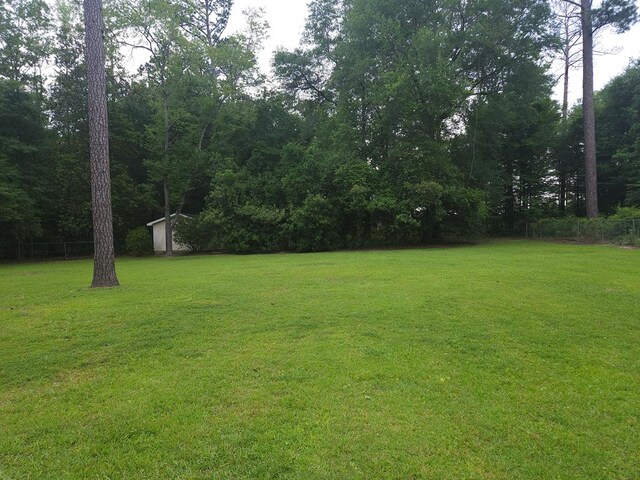 992 Barbour Ln, Barbour County, AL 36027 - photo 35