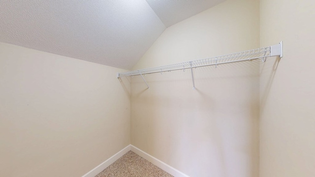 spacious closet featuring lofted ceiling and carpet flooring