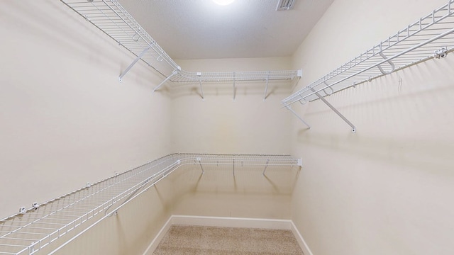 walk in closet with carpet flooring