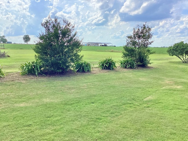 1997 County Road 26, Headland, AL 36345 - view of green lawn with a rural view