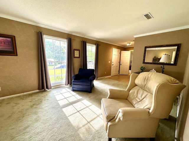 1317 Cambridge Rd, Dothan, AL 36305 - living room with crown molding, light colored carpet, baseboards, a textured ceiling, and a textured wall