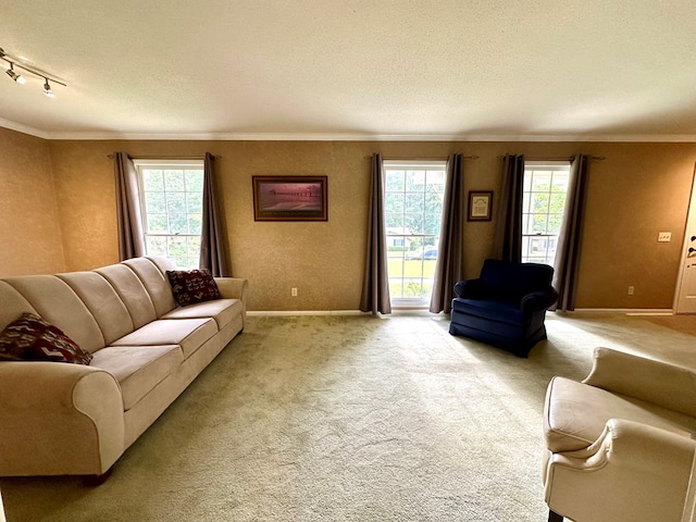 1317 Cambridge Rd, Dothan, AL 36305 - photo 9