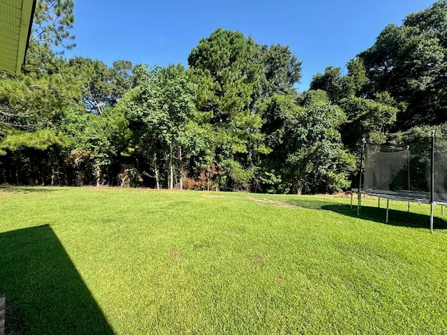 125 Sandpiper Ln, Dothan, AL 36301 - view of grassy yard featuring a trampoline