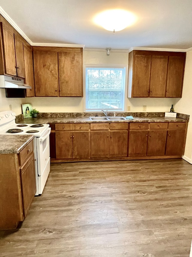 kitchen with white electric range oven, brown cabinetry, light wood-style floors, under cabinet range hood, and a sink