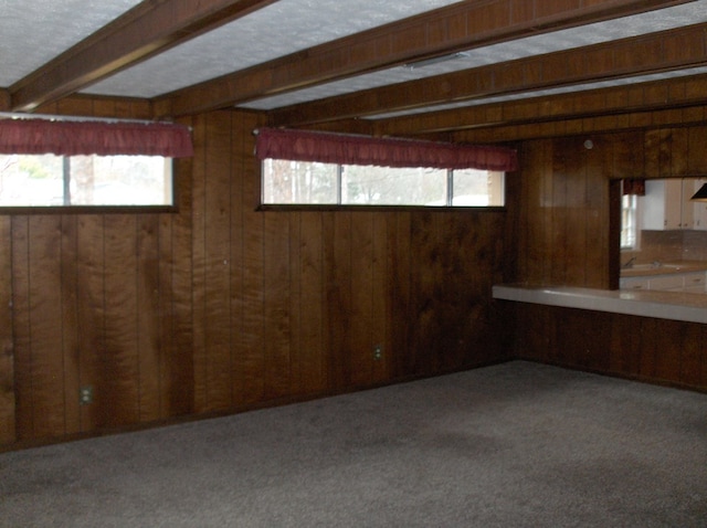 basement featuring wooden walls and carpet floors