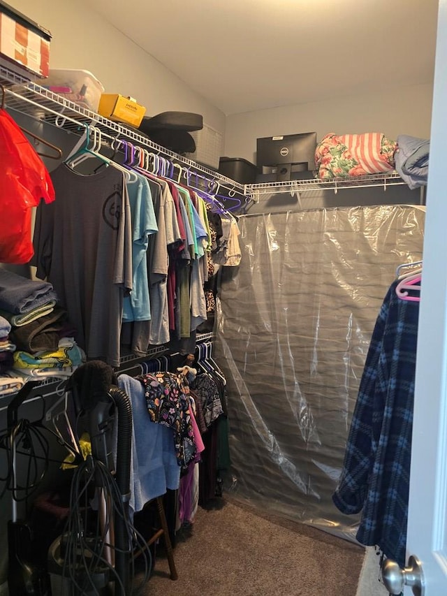 walk in closet featuring carpet floors