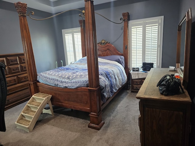 bedroom featuring carpet flooring and multiple windows