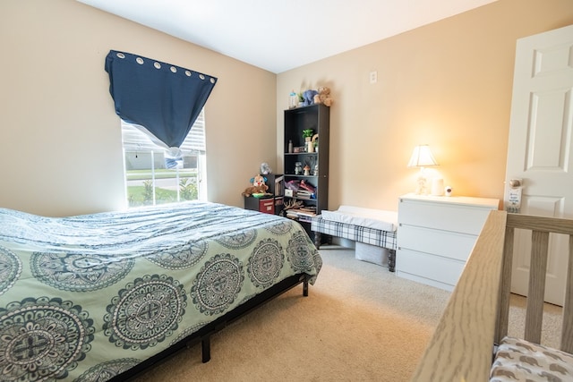 330 Brushfire Dr, Dothan, AL 36305 - view of carpeted bedroom