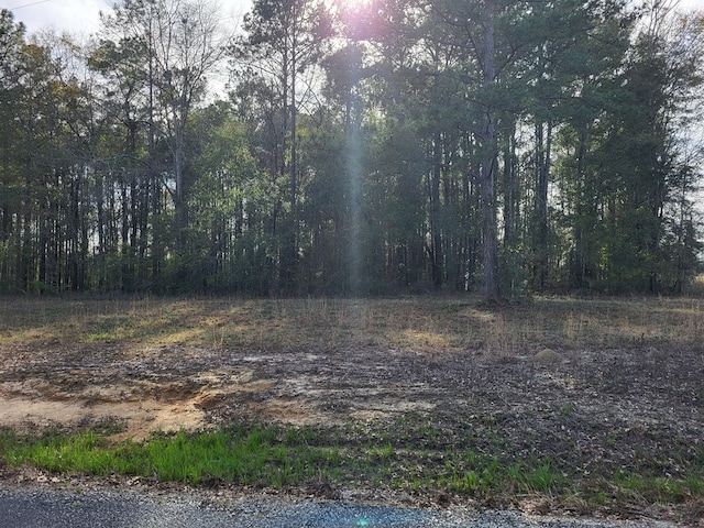 Listing photo 2 for 0 Doctors Point Rd, Abbeville AL 36312