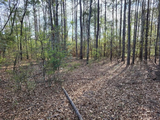 0 Doctors Point Rd, Abbeville AL, 36312 land for sale