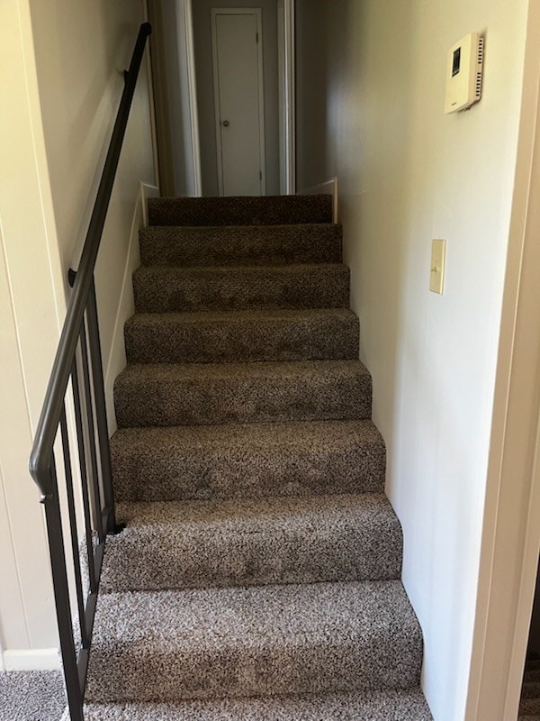 stairs with carpet floors