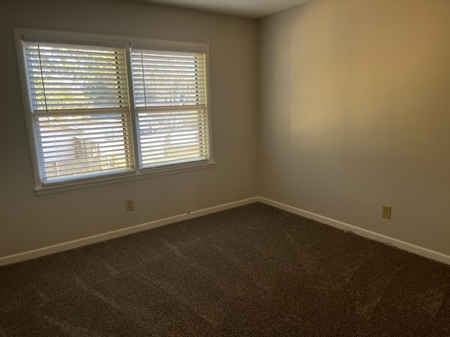 spare room with carpet flooring and plenty of natural light