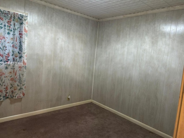 555 Cove Rd, Abbeville, AL 36310 - empty room with dark carpet, wood walls, and baseboards