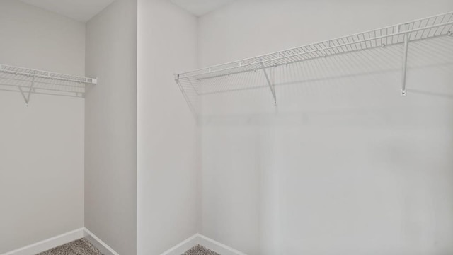 109 Creekridge St, Headland, AL 36345 - walk in closet featuring carpet floors