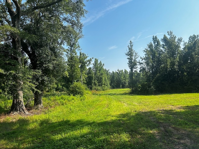 0 Willie Varnum, Dothan, AL 36301 - photo 8