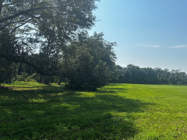 0 Willie Varnum, Dothan, AL 36301 - photo 5
