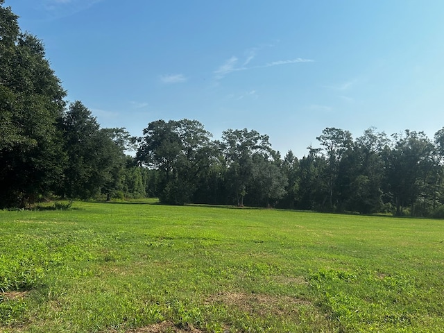 0 Willie Varnum, Dothan, AL 36301 - photo 7