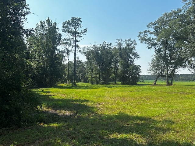 0 Willie Varnum, Dothan, AL 36301 - photo 4