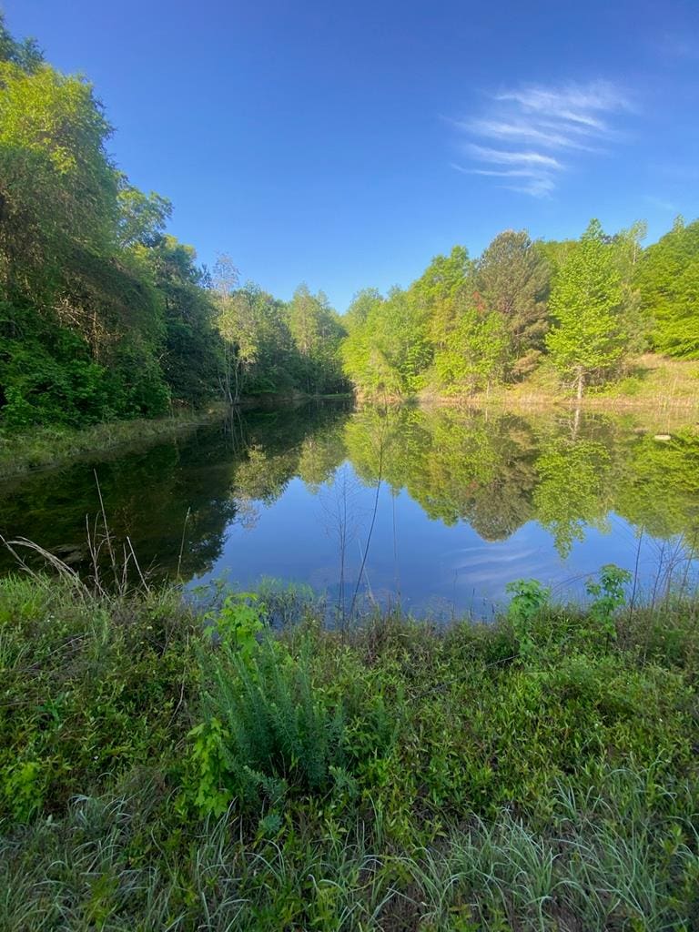APPROX44ACRES County Rd 67, Midland City, AL 36350