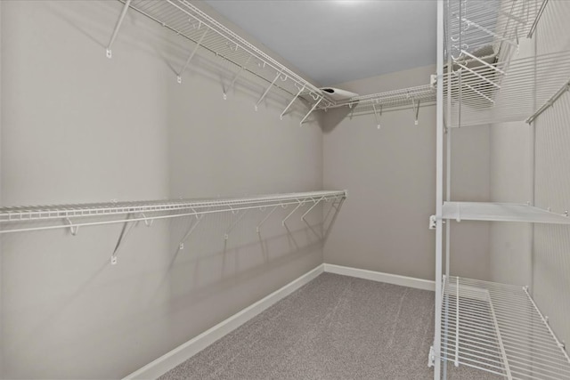 102 Tumbleweed Dr, Enterprise, AL 36330 - spacious closet with carpet floors