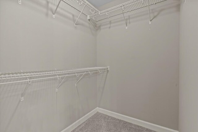 102 Tumbleweed Dr, Enterprise, AL 36330 - spacious closet with carpet