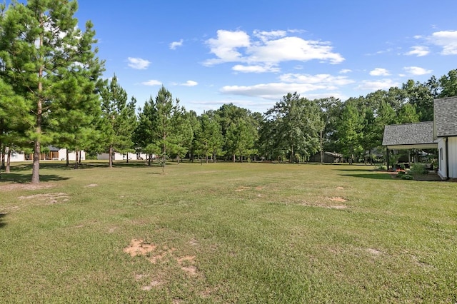 3155 Eddins Rd, Dothan, AL 36301 - view of grassy yard with view of scattered trees