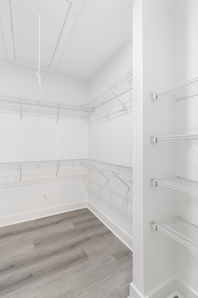 walk in closet featuring wood finished floors and attic access