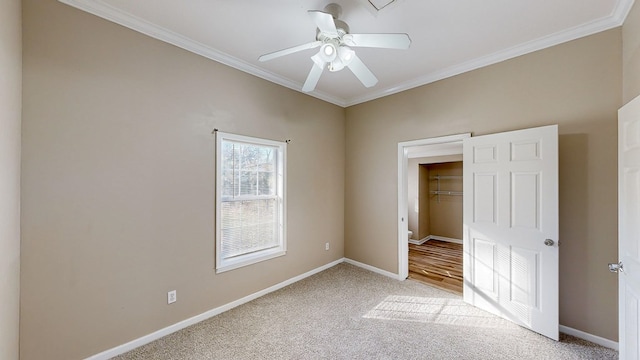 unfurnished bedroom featuring ceiling fan, light colored carpet, crown molding, a walk in closet, and a closet