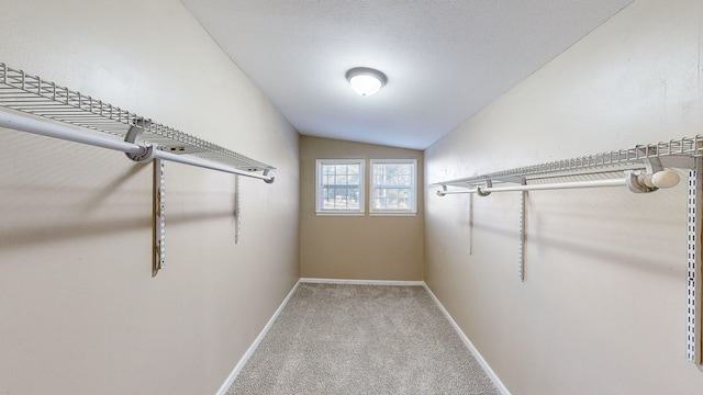 walk in closet with lofted ceiling and carpet flooring