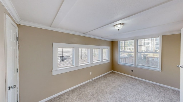 carpeted spare room with crown molding and a healthy amount of sunlight