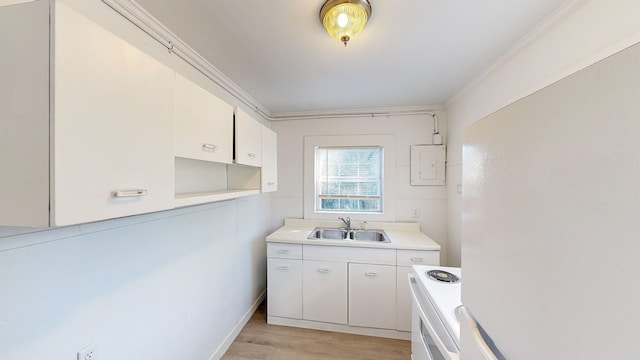 kitchen featuring sink, crown molding, light hardwood / wood-style flooring, white electric stove, and white cabinets